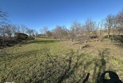 Teren de 960 mp, în Păulești