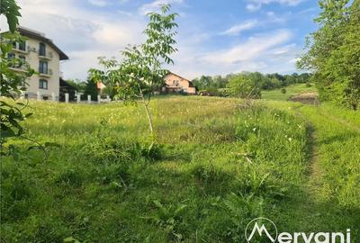 Teren intravilan de vanzare in Campina - Zona Muscel - 1