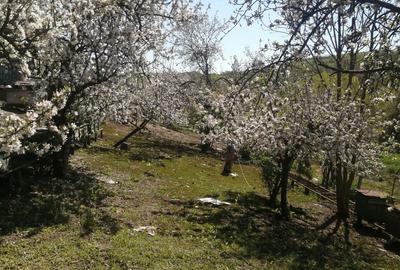 Casă cu 4 camere în Glodeni - 2