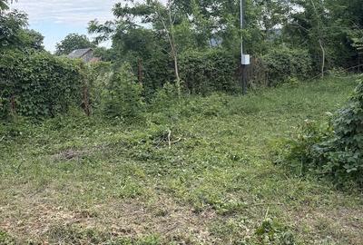 Teren de 5000 mp, în Pârscov