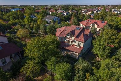 CASA MEMORABILA CU MULT POTENTIAL, LUMINA SI VERDEATA -SI TEREN DE 1618 MP - 2
