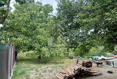 Teren 1084 mp in Dumbravita pentru duplex, vatra satului - 3