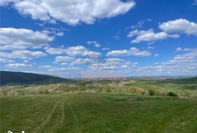 Teren de 6301 mp, în Șuncuiuș - 4
