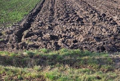 Teren agricol extravilan de 3678 mp, în Mitocu Dragomirnei - 1