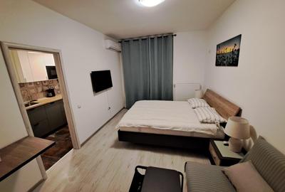 Garsonieră decomandată în Chiajna - 4