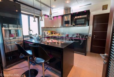 Penthouse cu 7 camere decomandat, mobilat în Șoseaua Nordului - 10