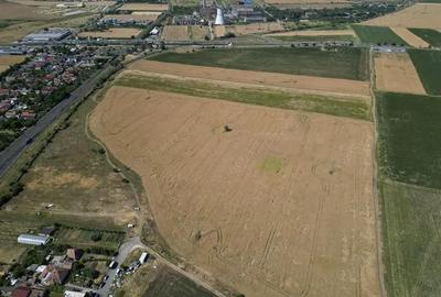 Tern intrevilan 4003 mp - 1