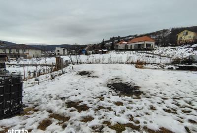 Casă cu 3 camere cu Teren 1358 Mp în Apahida - 8