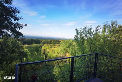 Casă cu 3 camere în Valea Călugărească - 3