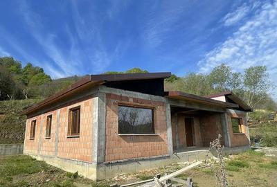 Casă cu Teren 3600 Mp în Vlădești