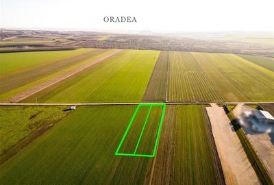 Teren intravilan de 5500 mp, în Biharia - 5