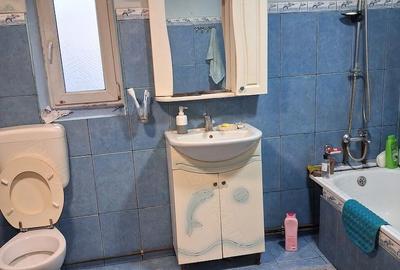 Casă cu Teren 2500 Mp în Otelec - 7