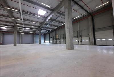 Spatiu Industrial - 5000 mp - Logistica - Productie - Depozitare - Distributie - 2