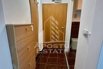 Apartament cu 2 camere nedecomandat, mobilat în Șagului - 8