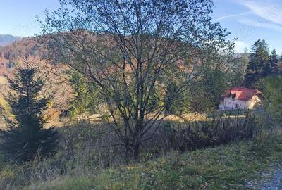 Teren intravilan situat in Predeal-Paraul Rece - 4