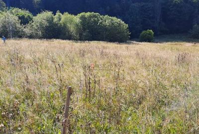 Teren Construcții intravilan de 2089 mp, în Schitu Tarcău - 13