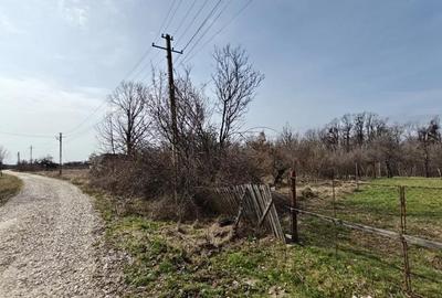 Teren de 1472 mp, în Lintești - 9