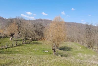 Teren de 2650 mp, în Malurile - 6