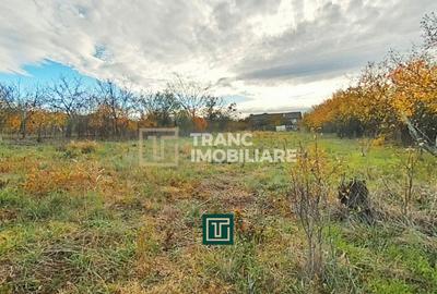 Teren intravilan de 1199 mp, în Aluniș - 4
