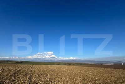 Teren extravilan agricol 5700 mp, Cristur - 3