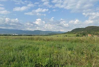 Teren de 4800 mp, în Cristian - 1