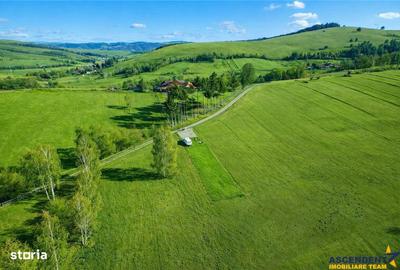 Spațiu comercial, în Sărămaș - 6