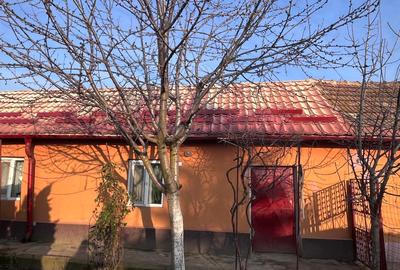 Casă cu 5 camere în Plosca - 10