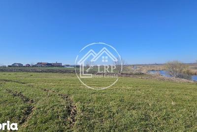 Teren de 646 mp, în Dascălu - 4