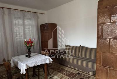 Casă cu 5 camere cu Teren 3383 Mp în Remetea Mare - 9