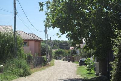 Domnesti Teghes-Padurarului - 6