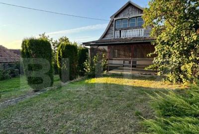 Casa in Aluni?, 10.000 mp de teren, cu vie si livada, veder - 2