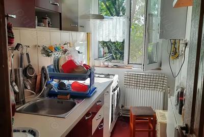 Apartament cu 3 camere in zona Dacia - 10