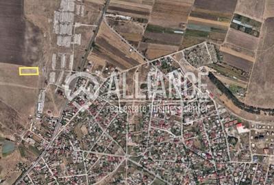 Techirghiol (cod04)-Teren 440 mp ideal investitie constructie casa - 1