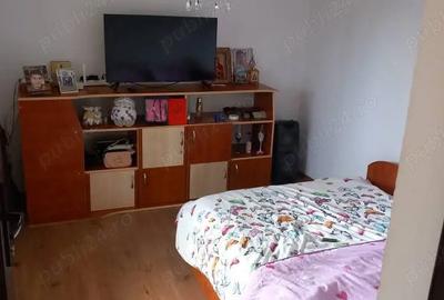 Casă cu 2 camere în Blejești - 2