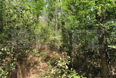 Teren 3000 mp - 1200 mp intravilan, zona Cuparu - 1