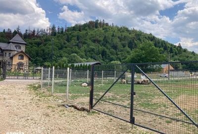 Teren de 1267 mp, în Cristian - 5