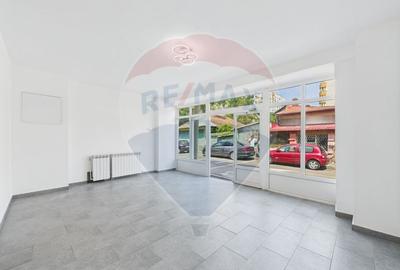 Vila  S+P+2E  Petre Ispirescu- Sebastian, renovata complet - 6