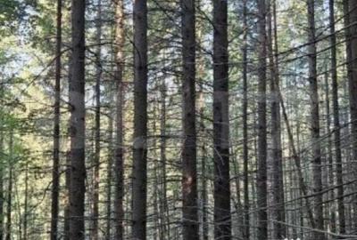 Teren de 17500 mp, în Central - 2