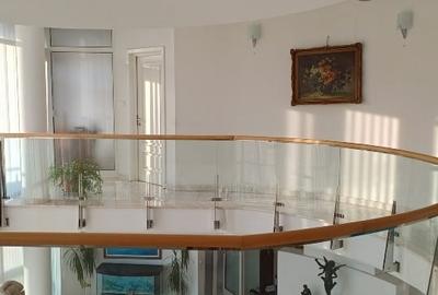 Casă individuală cu 5 camere cu Teren 8850 Mp în Central - 10