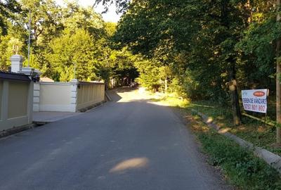 Bucium-Pietrărie, teren 5000 mp, la asfalt, pădure - 2