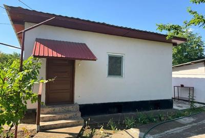 Casă cu 3 camere cu Teren 1250 Mp în Prunaru - 2