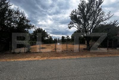 Teren intravilan si extravilan - 4