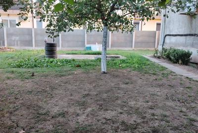Apartament cu 2 camere decomandat în Remetea Mare - 8