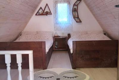 Casă cu 2 camere în Lăpuștești - 9