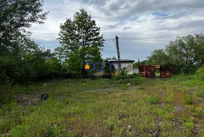Teren industrial sau comercial 3000 mp Zagujeni - 8