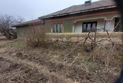 Casă cu Teren 2350 Mp în Central - 1