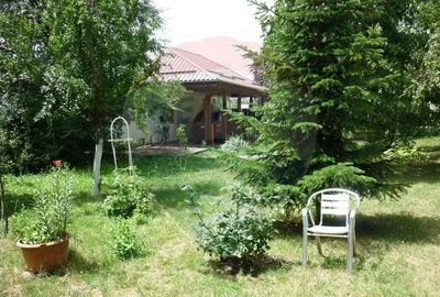 Casă cu 5 camere cu Teren 1922 Mp în Ciofliceni - 15