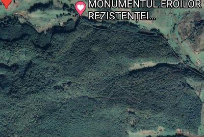Teren de 50000 mp, în Central - 5