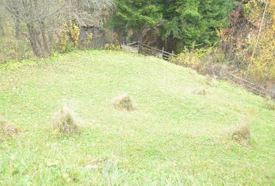 Busteni-Teren intravilan situat in Valea Alba in apropiere de partie - 1