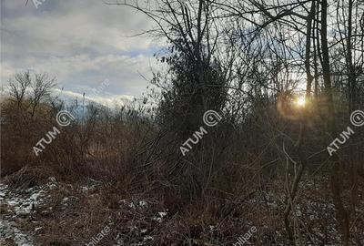 Teren Intravilan 1600 mp in Avrig zona Valea Avrigului Teren Intravilan 1600 mp in Avrig zona Valea Avrigului - 3